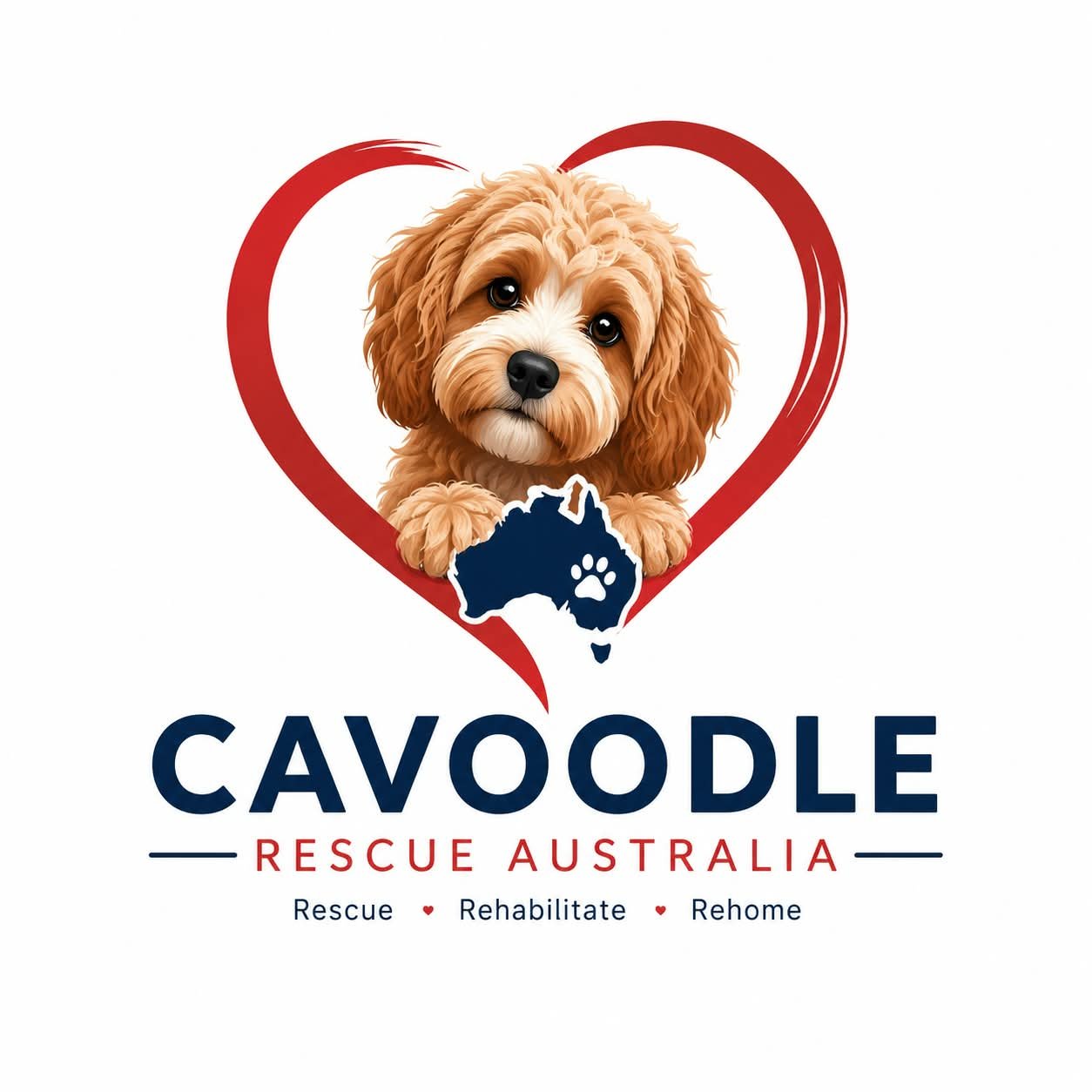 Cavoodle Rescue Australia